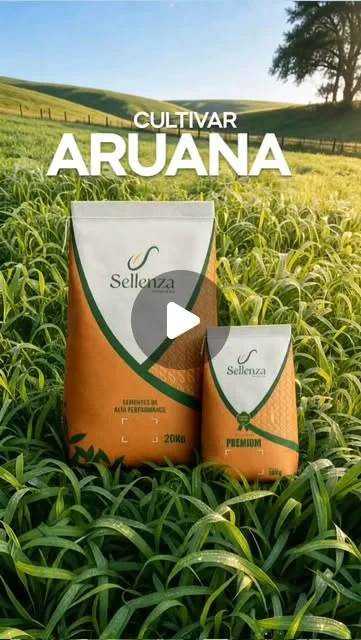 Capa do vídeo: Aruana: o capim mais baixo pode ser o que mais alimenta